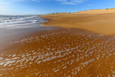 Fransa 'da Atlantik Okyanusu sahilinde deniz köpüğü..