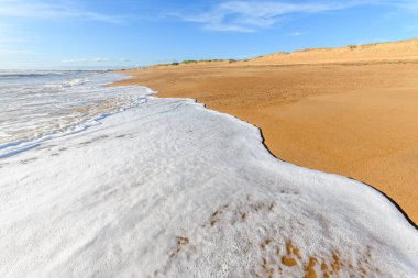 Fransa 'da Atlantik Okyanusu sahilinde deniz köpüğü..