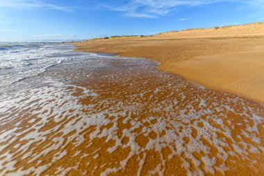 Fransa 'da Atlantik Okyanusu sahilinde deniz köpüğü..