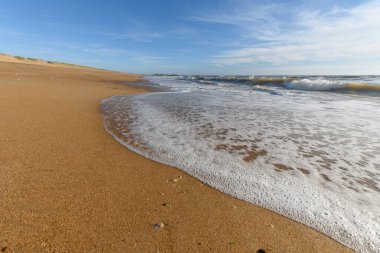 Fransa 'da Atlantik Okyanusu sahilinde deniz köpüğü..