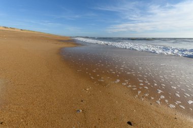 Fransa 'da Atlantik Okyanusu sahilinde deniz köpüğü..