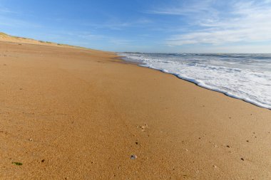 Fransa 'da Atlantik Okyanusu sahilinde deniz köpüğü..