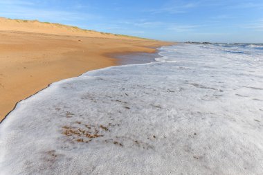 Fransa 'da Atlantik Okyanusu sahilinde deniz köpüğü..