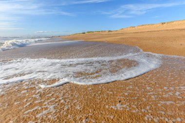 Fransa 'da Atlantik Okyanusu sahilinde deniz köpüğü..