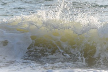 Fransız sahilindeki okyanusta Sables d 'olonne yakınlarında güzel bir deniz dalgası..