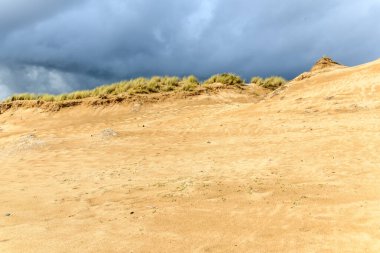 Fransız kıyısı boyunca Atlantik Okyanusu yakınlarındaki kum tepeleri..