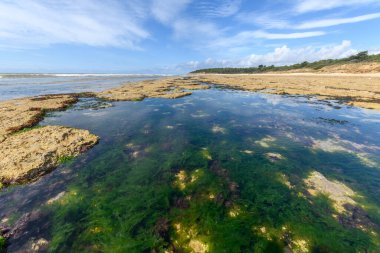 Fransız Atlantik kıyılarının manzarası güneşli havayla dalgalı..