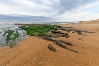 Fransa 'da bir yaz sabahı, kayaların arasında kumsal