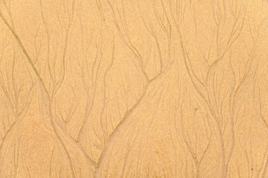 Fransa 'da Atlantik Okyanusu' ndaki bir sahilde kumların dokusu..