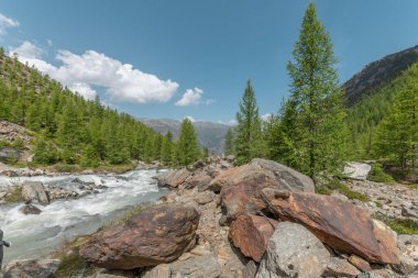 Bulutlarla benekli mavi gökyüzünün altında yeşil kozalaklı kayalar arasında berrak nehir hızla akar. Çevre sakin ve doğaldır. Grachen, Viege, Valais, İsviçre.