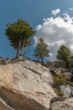 Kayalar güçlü ağaçlarla çevrili gururla dururlar. Gökyüzü birkaç beyaz bulutla mavidir. Gün ortasında güzel doğal bir sahne.