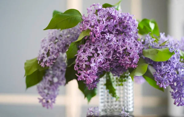 一束紫丁香放在透明花瓶里的桌子上 — 图库照片