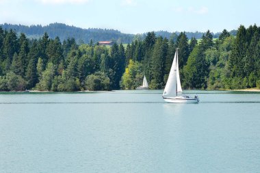 Almanya 'da yaz mevsiminde Schwan Gölü' ndeki tekne manzarası