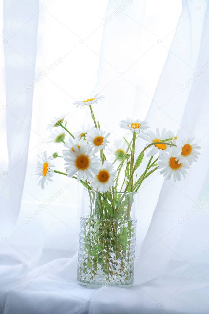 Defocused beautiful bouquet of white daisies on a white background. 