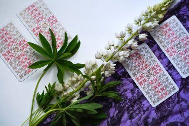 Romantik Tarot Tuzak Arkaplanı. Tarot kartları ve Lupin çiçekleri.