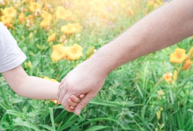 Baba, Sunny Park 'ta küçük bir çocuğun elini tutuyor. Ortak güven aile kavramı, doğa geçmişi. Yüksek kalite fotoğraf