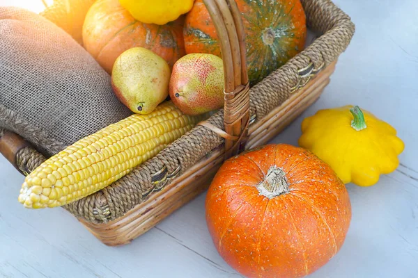 Sezonowe produkty rolne zbierane w koszyku — Zdjęcie stockowe