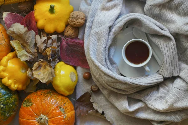 Sfocato Accogliente composizione autunnale. Tè caldo, zucche su un tavolo. — Foto Stock