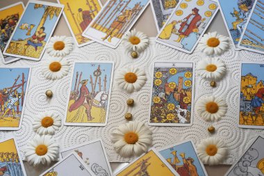 Papatya çiçekli bulanık tarot kartları, falcılık, esrarengiz semboller. - Evet. Yüksek kalite fotoğraf