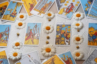 Papatya çiçekli bulanık tarot kartları, falcılık, esrarengiz semboller. - Evet. Yüksek kalite fotoğraf