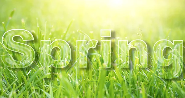 Lente Tekst Geschreven Een Achtergrond Van Groen Gras Zonnige Dag — Stockfoto