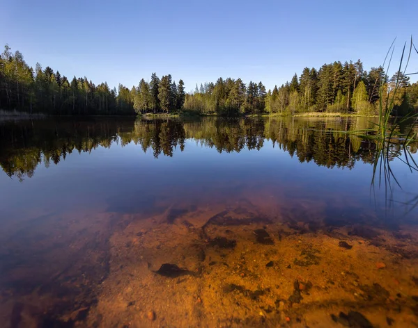 Lac Forestier Transparent Fond Sablonneux Par Temps Calme Été Vue — Photo