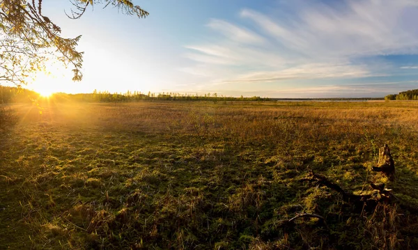 ロシア北部の森の沼の中の絵のような夕日の写真 — ストック写真