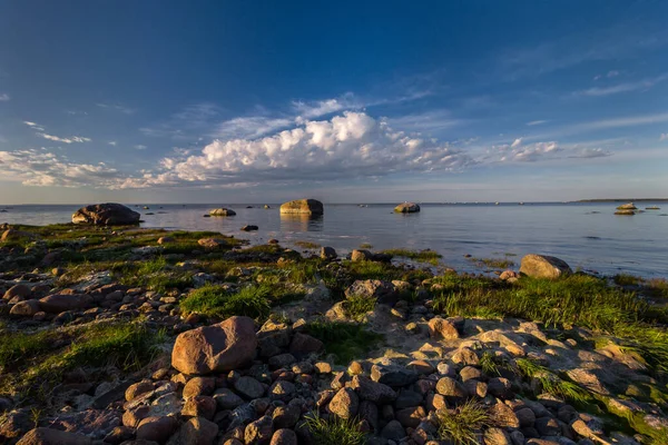 Côte Mer Baltique Avec Des Pierres Beau Coucher Soleil Photo — Photo
