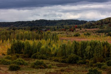 Rusya 'nın Pskov bölgesinde Izborsk yakınlarındaki Malskaya Vadisi manzarası