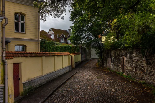 Ulice Starého Města Talin Bez Lidí Estonsko Evropa — Stock fotografie
