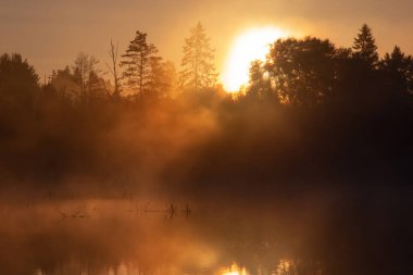 Doğan altın güneşin ışınlarında bir orman gölünde gizemli bir sis. Karanlık, gerçekçi bir peri masalı tasarımı.
