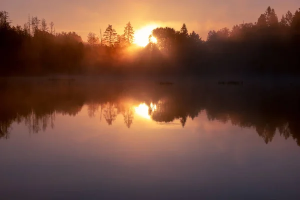 Пейзаж Восхода Солнца Озере Сиреневом Тумане Спокойная Поверхность Воды Отражение — стоковое фото