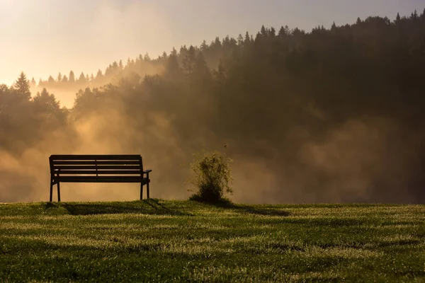 Una Magica Mattina Una Panchina Vicino Una Scogliera Tra Alte — Foto Stock