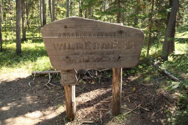 Absaroka-Beartooth Yaban Hayatı Beartooth Dağları, Montana 'daki Gallatin Ulusal Ormanı' nda Russell Creek Yolu tabelası