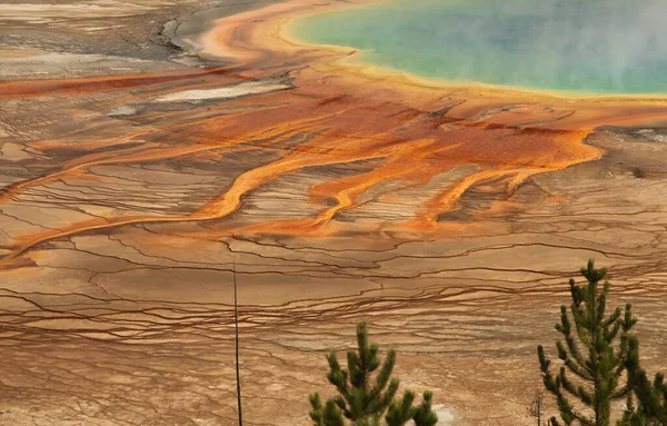 Grand Prismatic Spring Yellowstone National Park Wyoming — Stock Photo, Image