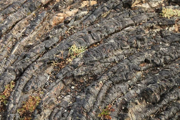 Fonctionnalité Lave Long North Crater Flow Trail Dans Les Cratères — Photo