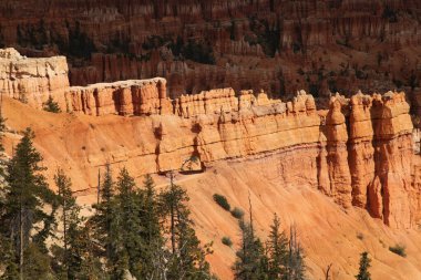 Hiking trail tunnel through orange rock hoodoos in Bryce Canyon National Park, Utah