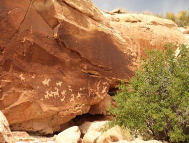 Utah, Arches Ulusal Parkı 'ndaki narin kemer yolu boyunca petroglifler.