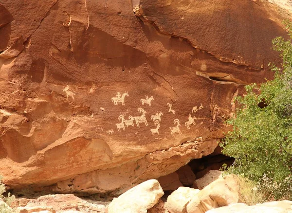 Petroglifi Lungo Delicato Arch Trail Nel Parco Nazionale Degli Archi — Foto Stock