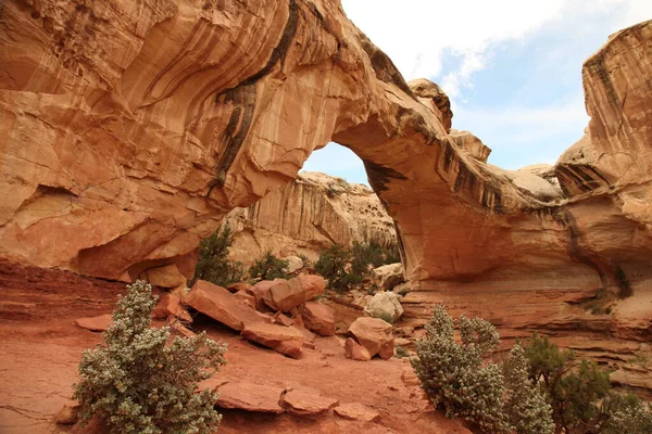 Puente Natural Hickman Parque Nacional Capitol Reef Utah —  Fotos de Stock