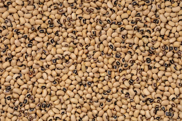 Black Eye Beans Luštěniny Pozadí — Stock fotografie
