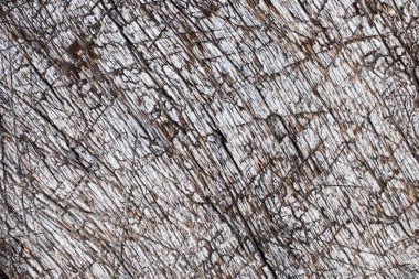 Ahşap dokunun arka planı. Grunge geri dönüş. 