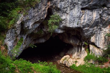 Romanya 'nın Petrosani kenti yakınlarındaki Bolii mağarası.