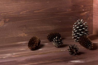 Ahşap arka planda çam kozalakları. Soyut kompozisyon. Köknar kozalakları. Çam kozalakları. Yüksek kalite fotoğraf