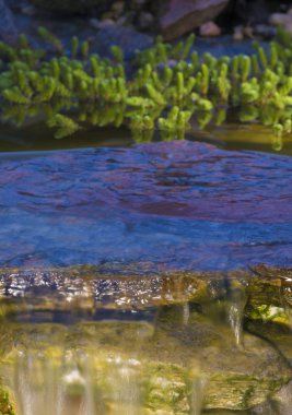 Arka bahçesinde Havuz şelale ile hareket çalıştıran bulanıklık