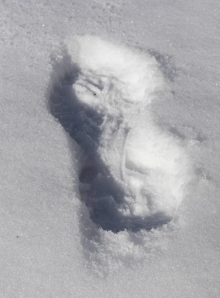 Fresh snow with a single boot print after snow in North Carolina