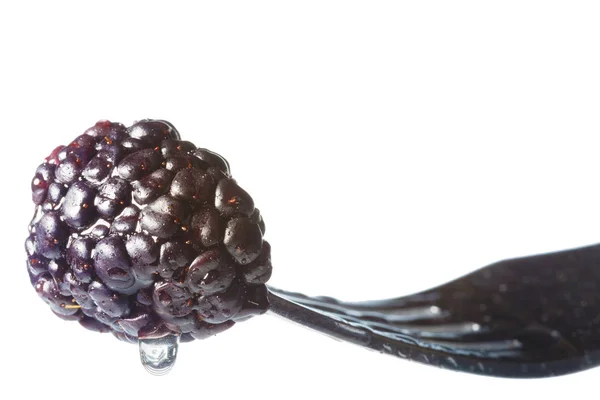黑莓滴水在一个叉子上的白色分离 — 图库照片