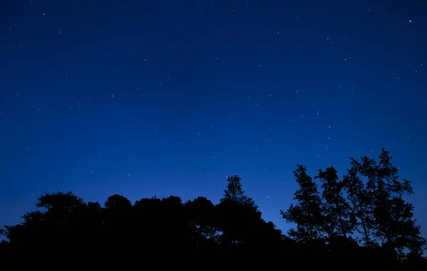 Árbol Silueta Por Estrellas Brillantes Cielo Nocturno Carolina Del Norte — Foto de Stock