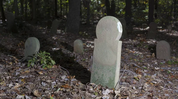 Antiguo Abandonado Cementerio Lápidas Carolina Del Norte — Foto de Stock