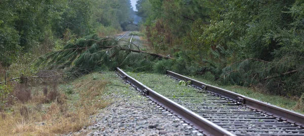 Las Vías Férreas Bloqueadas Por Los Árboles Después Del Huracán — Foto de Stock